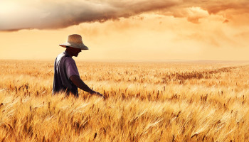 The Harvest is Plentiful, Workers are Few—What’s it All About?